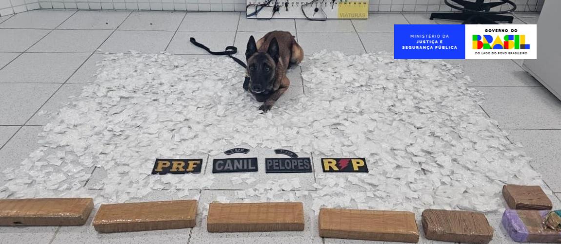 Brasil Contra o Crime Organizado
