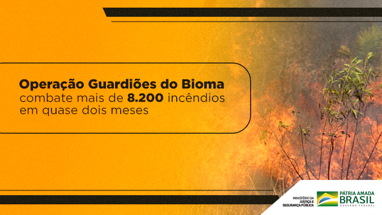 Operação Guardiões do Bioma combate mais de 8.200 incêndios em quase dois meses.png