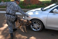 Os melhores amigos da lei