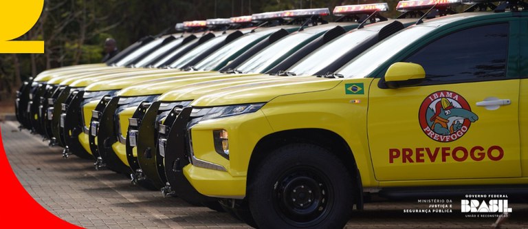 Política Nacional de Manejo Integrado do Fogo completa um ano em vigor