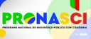 PRONASCI OK.jpg
