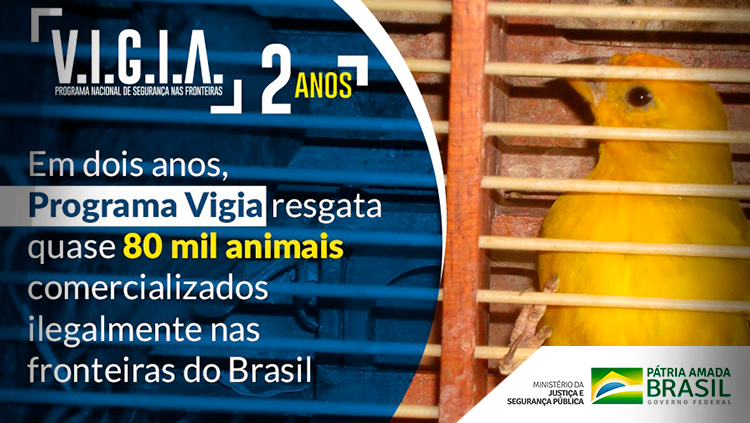 Programa Vigia resgata quase 80 mil animais comercializados ilegalmente nas fronteiras do Brasil.png