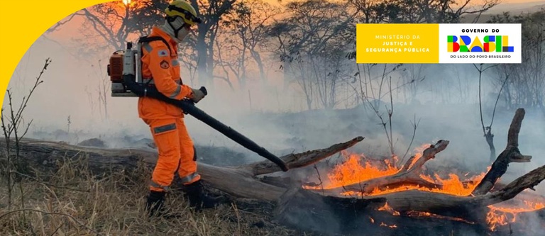 incendio florestal.jpeg