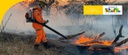 incendio florestal.jpeg