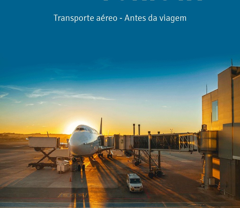 Consumidor Turista Transporte aéreo - Antes da viagem