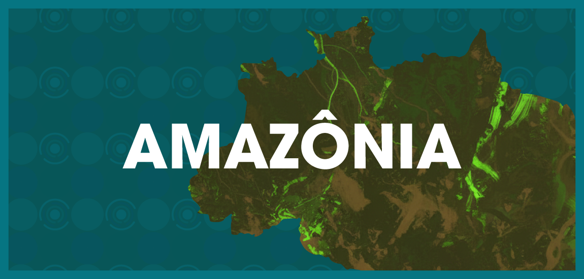 Amazônia no Obid
