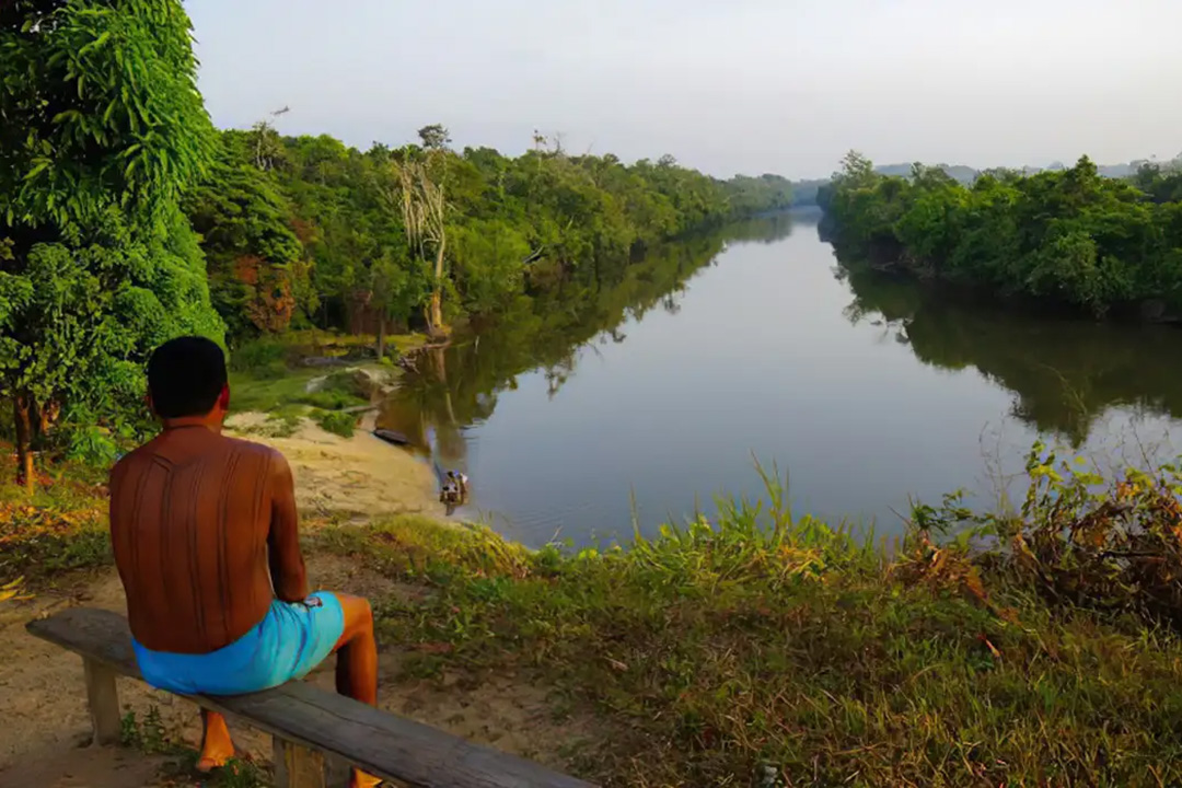 amazonia1.jpg