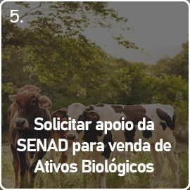 Solicitar apoio para venda de ativos biológicos