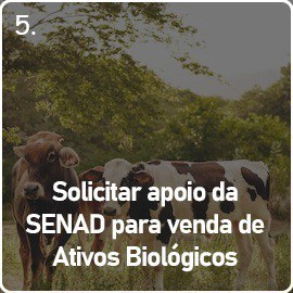 Solicitar apoio para venda de ativos biológicos