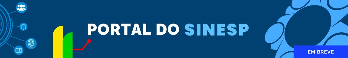 portal do SINESP.jpg