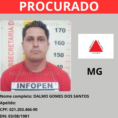 DALMO GOMES DOS SANTOS - MINAS GERAIS