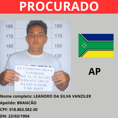 Leandro da Silva Vanziler