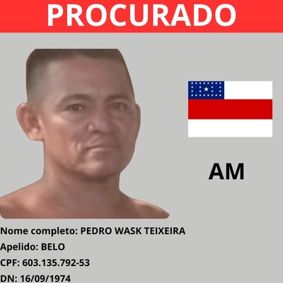 Pedro Wask Teixeira