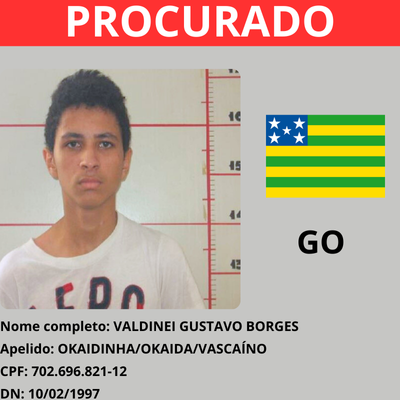 Valdinei Gustavo Borges