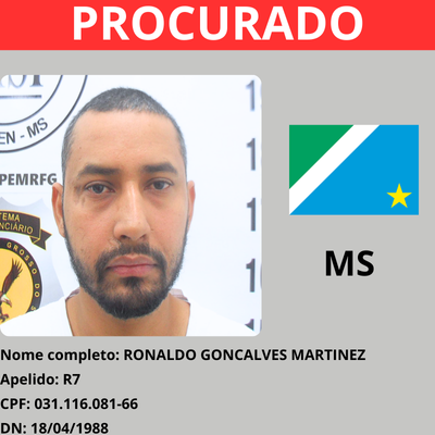 RONALDO GONCALVES MARTINEZ