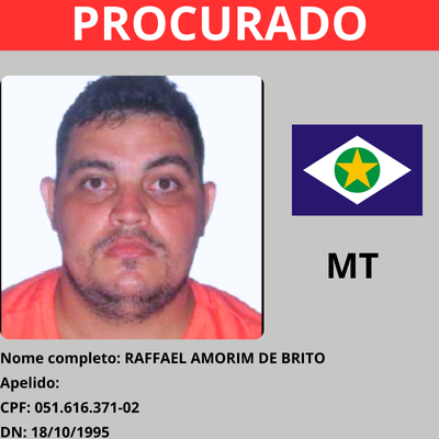 Rafael Amorim de Brito