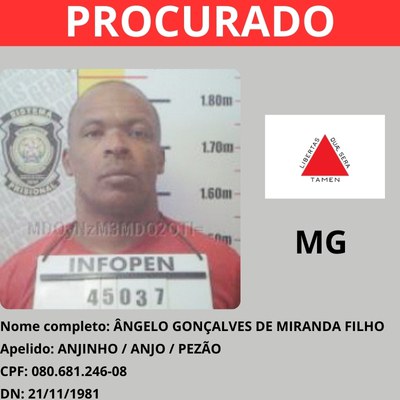 Angelo Gonçalves de Miranda Filho