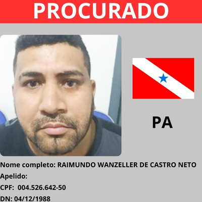 Raimundo Wanzeller de Castro Neto