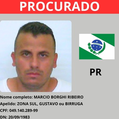 Marcio Borghi Ribeiro