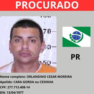 Orlandinho Cesar Moreira