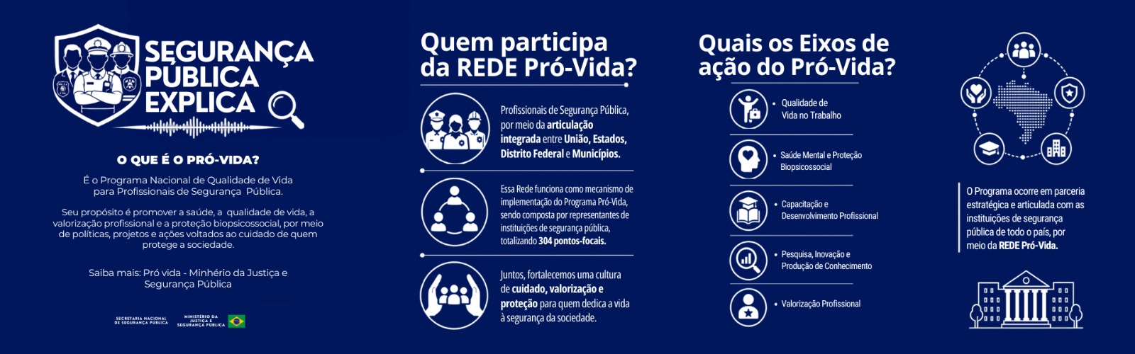 Segurança Pública