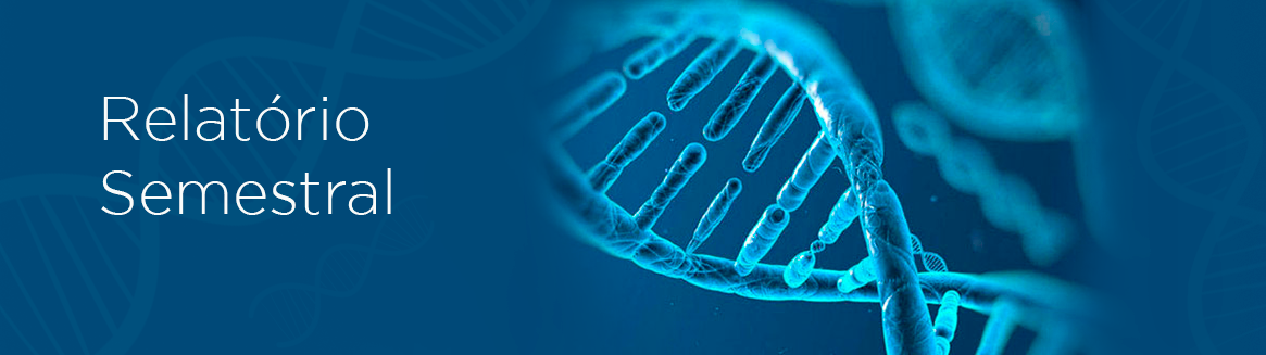 Relatório Semestral
