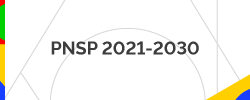 Pnsp 2021 - 2030
