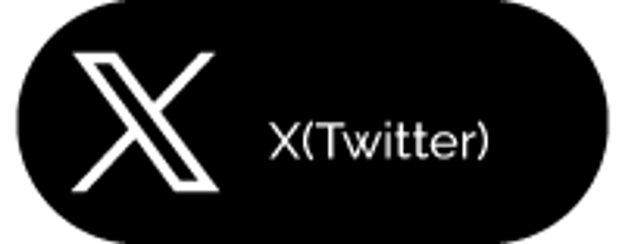 X(twiter)