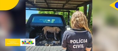 Governo Federal capacita servidores em combate aos crimes de maus-tratos contra animais