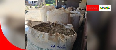 MJSP, Mapa, Procons e Abic intensificam ações contra cafés irregulares e ampliam a proteção ao consumidor