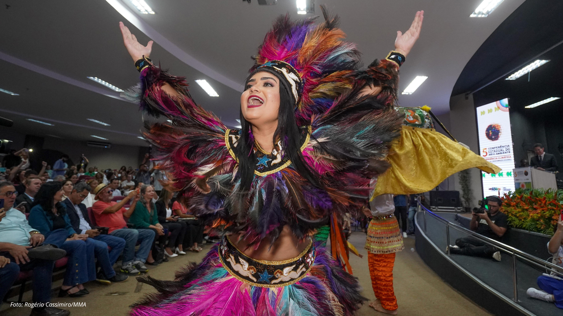 fase estadual da conferencia