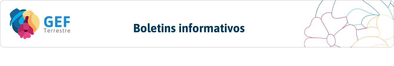 Boletins informativos