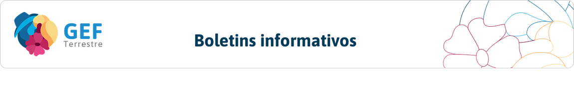 Boletins informativos