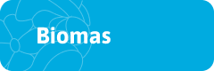 Biomas
