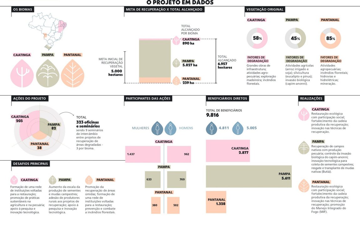 Infográfico GEF Terrestre
