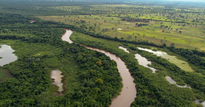 Imagem pantanal