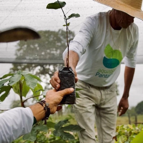 Recuperação de áreas degradadas
