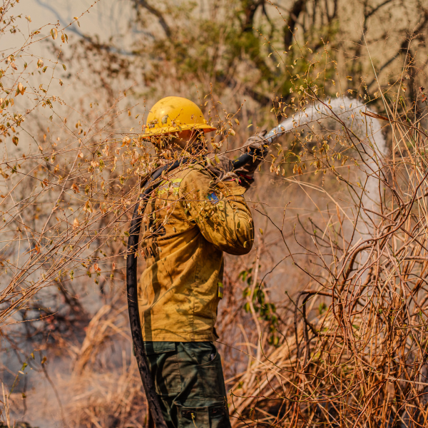 Manejo nas Unidades de Conservação e áreas adjacentes