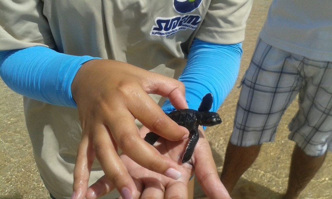 projetos de cooperação.jpg