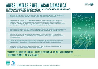 Áreas Úmidas e Regulação Climática
