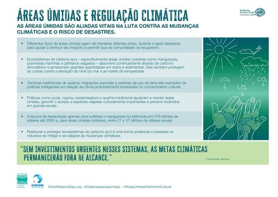 ÁREAS ÚMIDAS E REGULAÇÃO CLIMÁTICA_page-0001.jpg.jpeg