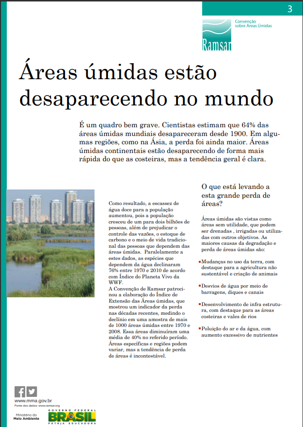 áreas úmidas estão desaparecendo.png