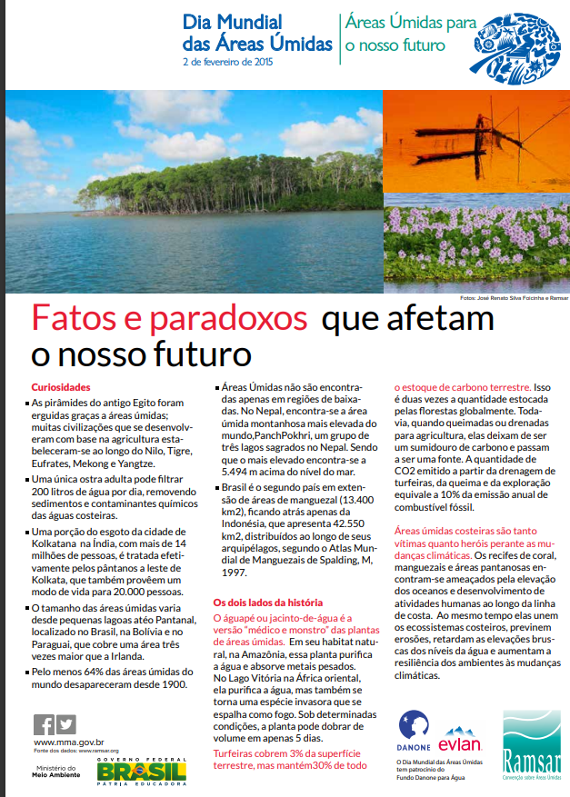 fatos e paradoxos.png