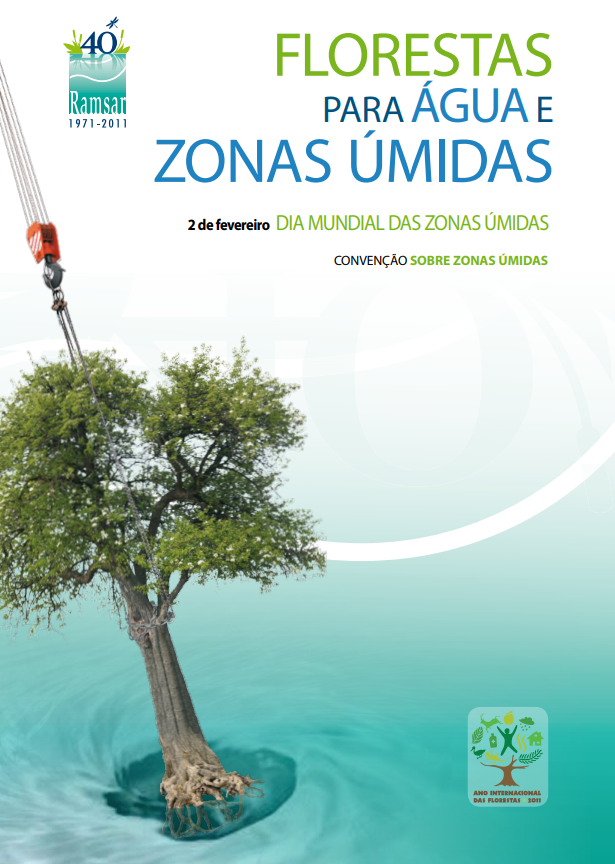 florestas para água e zonas úmidas.png