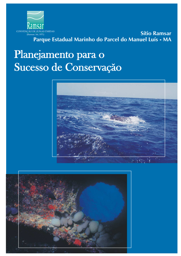 Planejamento para o sucesso de Conservação.png