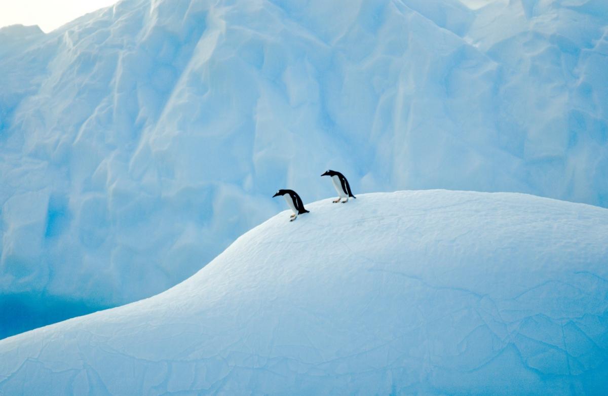 antartica-gelo.jpg