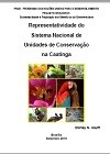 Representatividade do Sistema Nacional de Unidades de Conservação na Caatinga.jpg