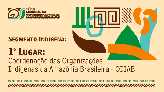 1 Segmento Indígena-1.png