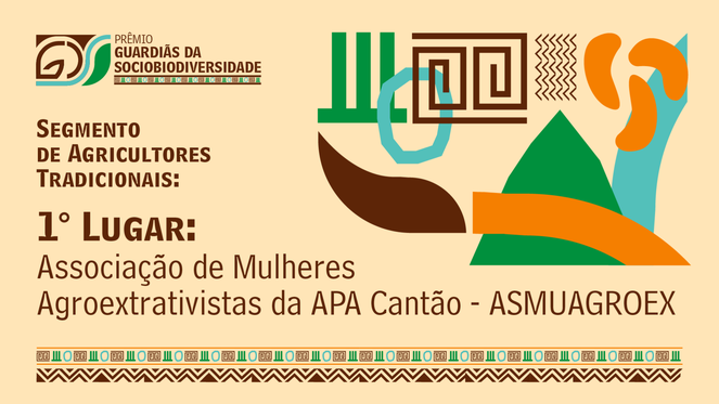 11 Segmento de Agricultores Tradicionais- 1.png