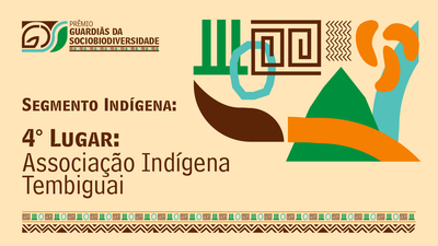 4 Segmento Indígena-4.png